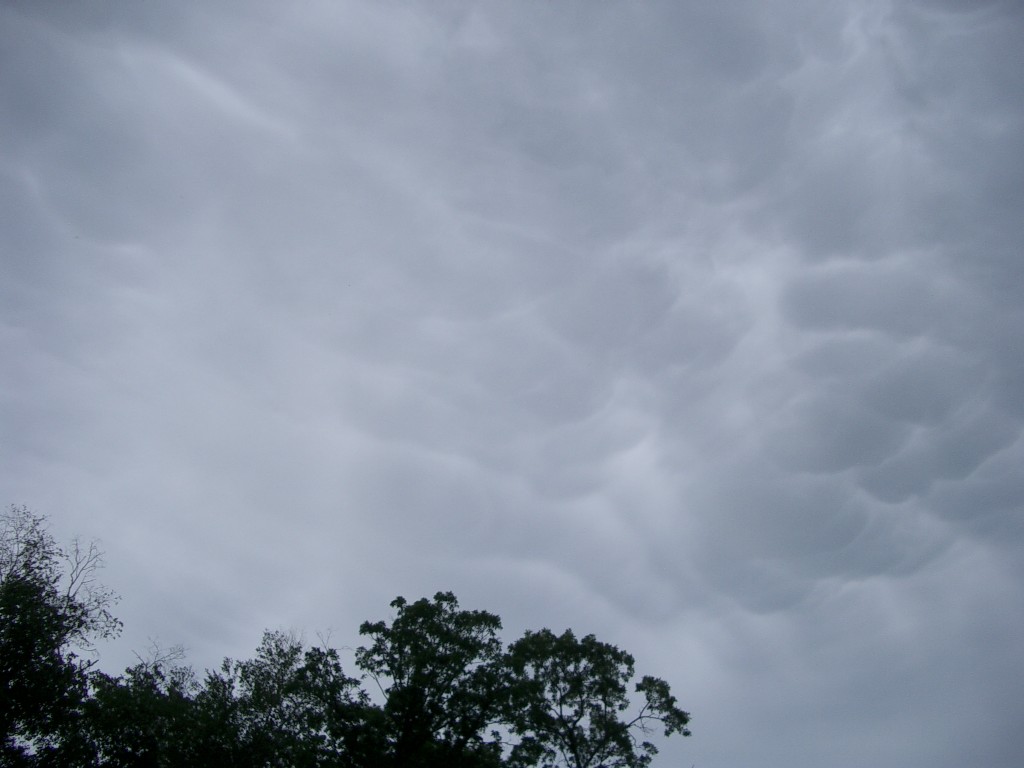 [Gray+Storm+Clouds+1+(50%).jpg]